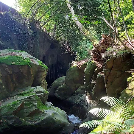 La Grubla Un Rifugio Nel Bosco Maison d'hôtes 3*