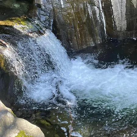 La Grubla Un Rifugio Nel Bosco Maison d'hôtes